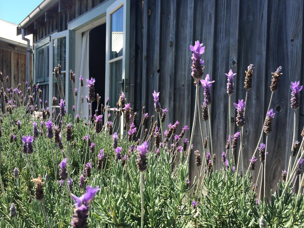 Mangawhai Chalets Exterior photo